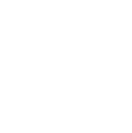 Franchise Sales Association